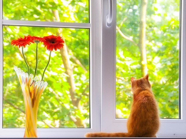 Tipos de apertura de las ventanas